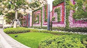 2026世界杯官网 新沂城市绿化常用的植物和花